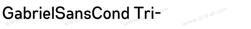 GabrielSansCond Tri字体转换
